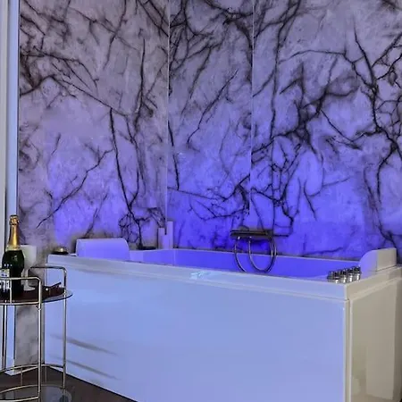 公寓 Les D Excellence 塞特港